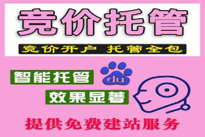 优化搜索流量：SEO技巧的多个成功案例
